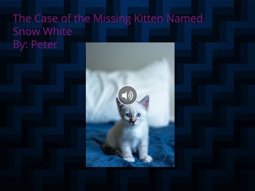 The Case of the Missing Kitten Named Snow White