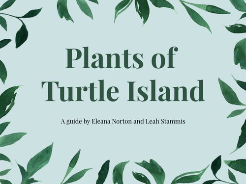 Plants of Turtle Island