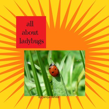 Book Creator | All About Ladybugs