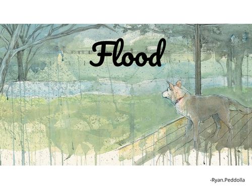 Book Creator | Flood