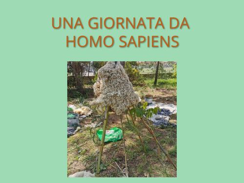 Una giornata da Homo sapiens