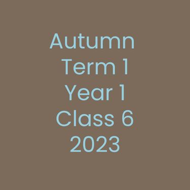Class 6 Autumn 1