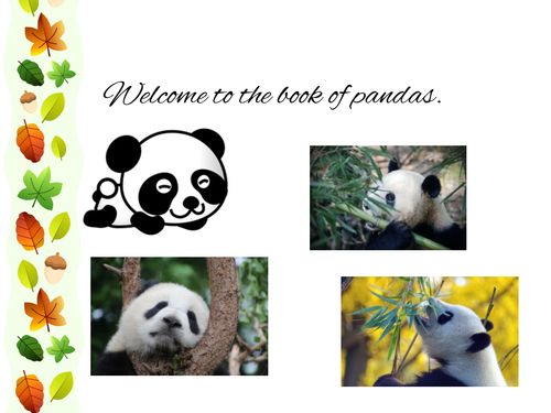 Book Creator | pandas