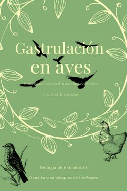 gastrulación de aves