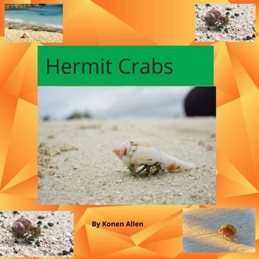Book Creator | Ocean Book