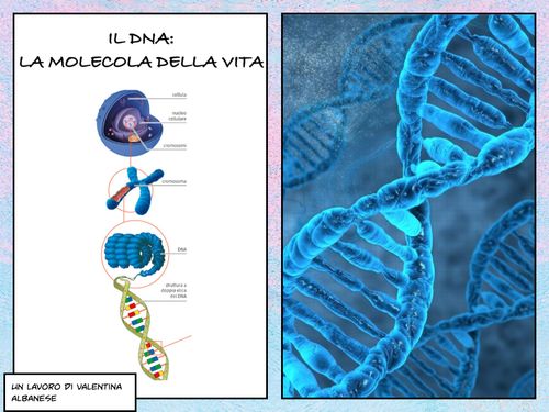 Book Creator | IL DNA