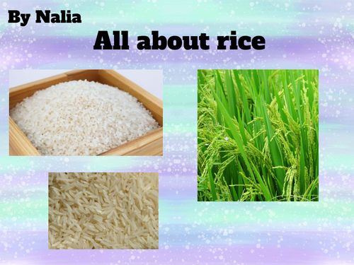 Book Creator | All About Book Rice