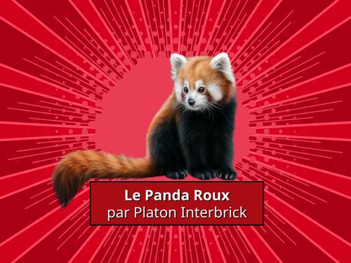 Book Creator | * Le Panda Roux