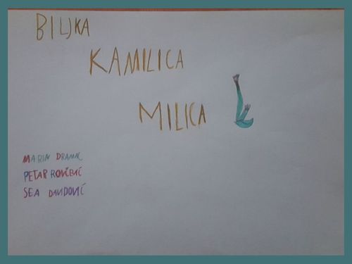 Biljka kamilica Milica - Marin, Sea i Petar