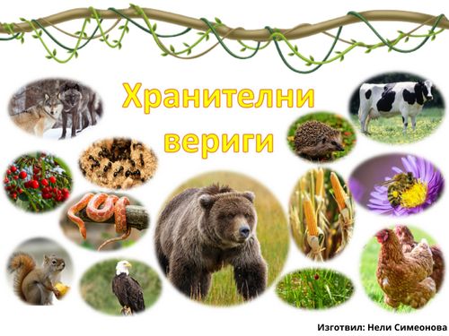 book-creator-3