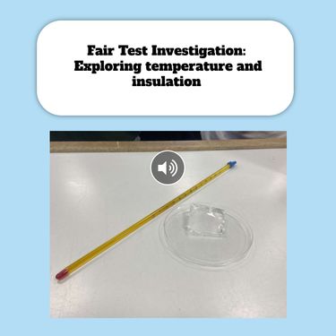 Book Creator | Fair test investigation