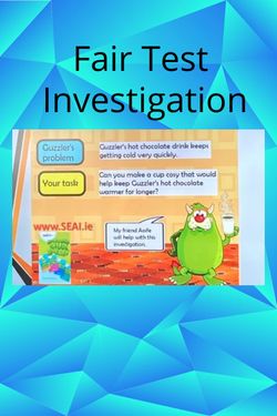 Book Creator | Fair Test Investigation
