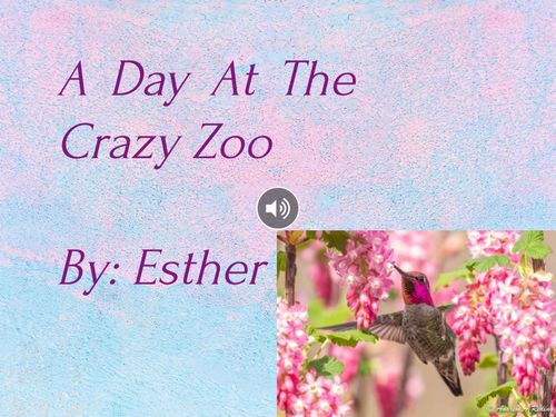 A Day at the Crazy Zoo