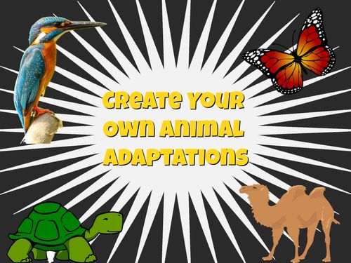 Animal Adaptations - Template