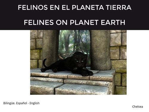 Felinos Español English