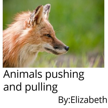 Animals pushing and pulling