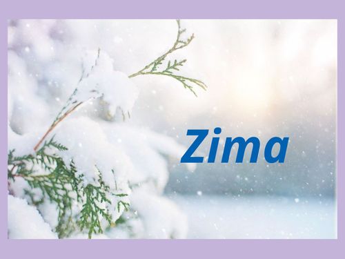 Book Creator | Zima '22