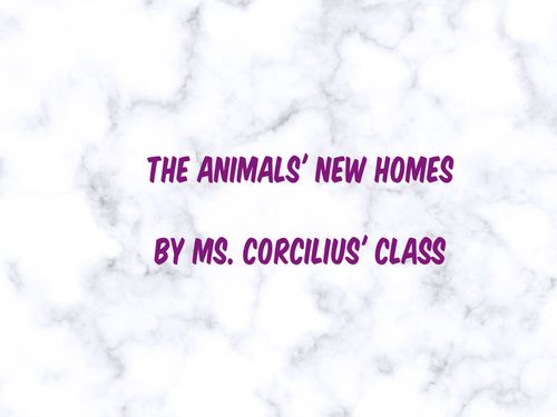 The Animals' New Homes