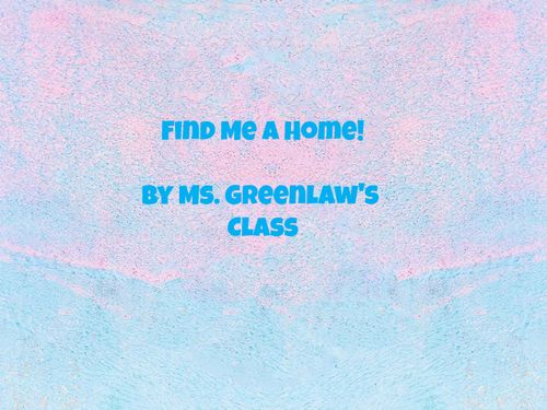 Find Me a Home!