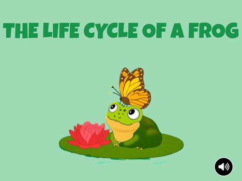 Book Creator | The Life Cycle of a Frog