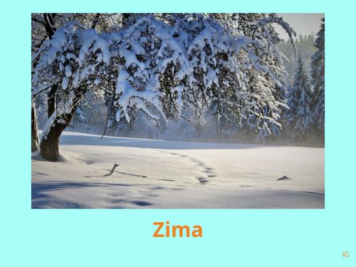 Book Creator | Zima_zimski izazov 2022