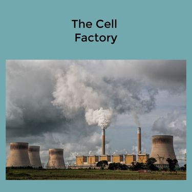 Book Creator | The Cell Factory