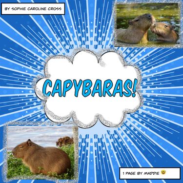 Book Creator | Cute capybara