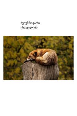 book-creator