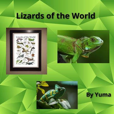 Book Creator | Lizards of the World