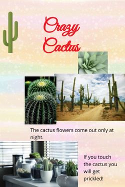 Crazy Cactus