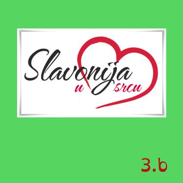 Slavonija u srcu