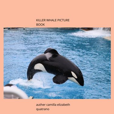 Book Creator | killer whale picture book