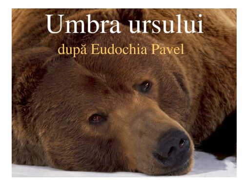 Umbra ursului