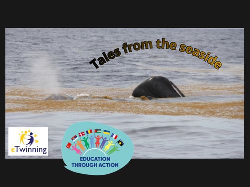 Tales from the seaside