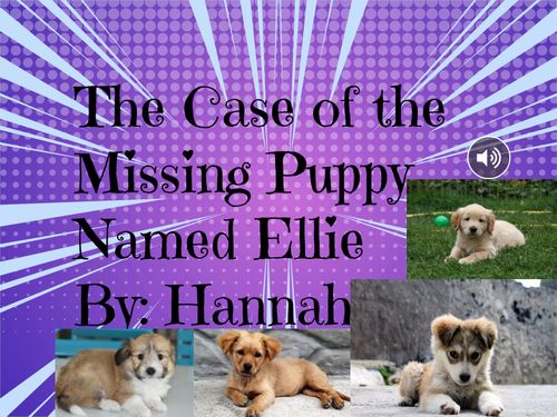 The Case of the Missing Puppy Named Ellie