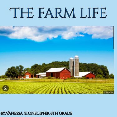 Book Creator | The farm life