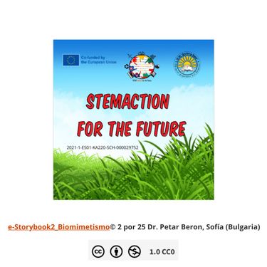 STEMAction for the Future - Biomimicry