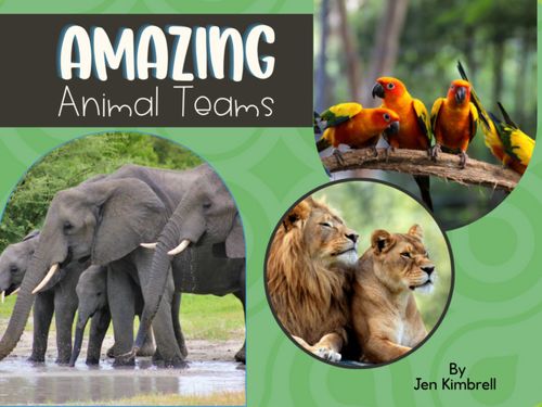 Amazing Animal Teams