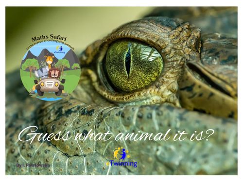 Guess what animal it is?