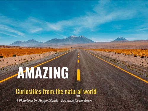 Amazing Curiosities from the natural world