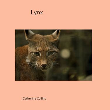 Book Creator | Lynx