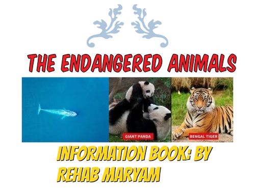 Book Creator | Endangered Animals