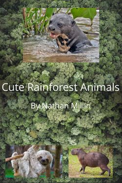 Rainforest Animals - Nathan Millin