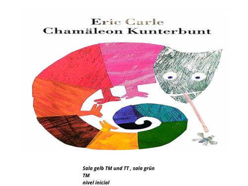 Chamäleon Kunterbunt