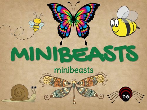 MINIBEASTS