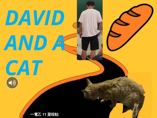 Book Creator | DAVID AND A CAT
