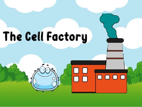 Book Creator | The Cell Factory