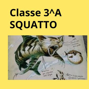 Book Creator | Squatto classe 3A