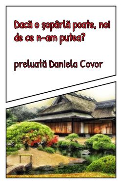 Dacă o șopârlă poate, noi de ce n-am putea?