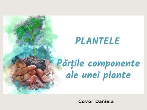 Plantele - Părțile componente ale unei plante